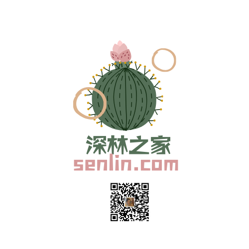 senlin.com
